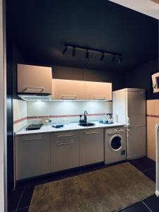 a kitchen with a sink and a washer at Studio 5 apartman in Kragujevac +26 photos