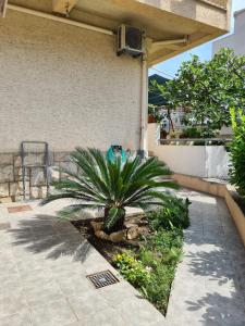 una palmera en un jardín junto a un edificio en Apartment Bart en Split