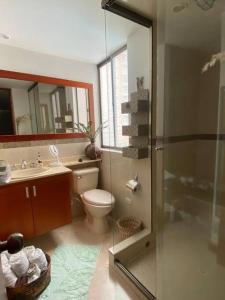 La salle de bains est pourvue de toilettes et d'une douche en verre. dans l'établissement Beautiful apartment in Envigado, à Envigado