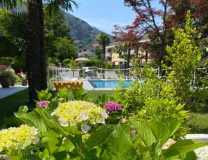 a garden with flowers and a pool in the background at Regina e Oriente in Baveno