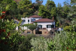 The building in which A villát is located