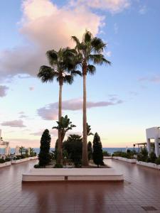 Fotografia z galérie ubytovania Mar de Pulpi Andalousie - Appartement "Chez les filles" v destinácii Pulpí