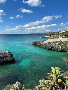 un cuerpo de agua con una playa y palmeras en RESIDENCE IL GIARDINO DI DONNA LEDA, en Castro di Lecce
