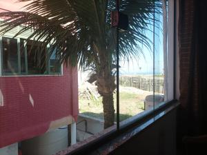 a palm tree is seen through a window at Casarão da Praia - Itaipuaçu, Jardim Atlântico, Maricá in Itaipuaçu