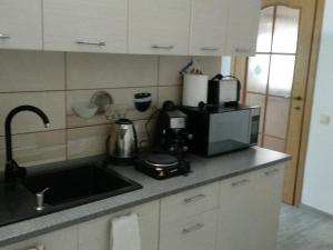 uma cozinha com um lavatório e um micro-ondas em Casa Charlot em Brasov