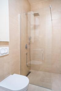 ein Bad mit einer Glasdusche und einem WC in der Unterkunft Homa Luxury Apartments Tivat with seaview in Donja Lastva