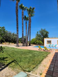 een resort met palmbomen en een zwembad bij Quinta Das Amendoas in Carvoeiro