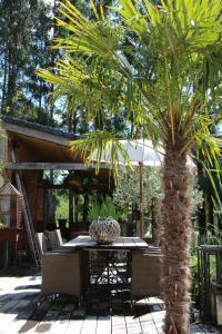 een tafel en een palmboom op een patio bij De Tuinkamer in Lanaken