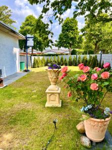 einen Garten mit einer Vase und Blumen im Gras in der Unterkunft Casa Rehman in Ratzeburg