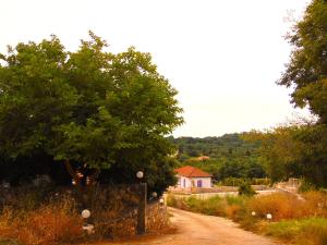a dirt road with a tree and a house at Marilena Apartment, Keremies in Keramiaí
