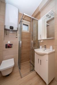 a bathroom with a shower and a toilet and a sink at Apartments Bonazza in Petrovac na Moru