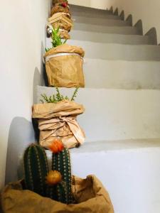 Fotografia z galérie ubytovania Loft 36 v destinácii Carovigno