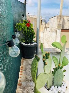 Fotografia z galérie ubytovania Loft 36 v destinácii Carovigno