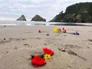a beach with poppies and flowers in the sand at Sandpiper Shores in Florence