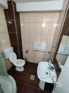 La petite salle de bains est pourvue de toilettes et d'un lavabo. dans l'établissement Vila Roza, à Dojran