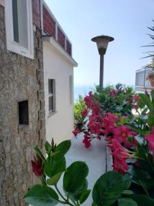 a view from the balcony of a house with flowers at Villa Pino in Furore