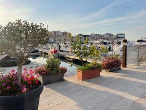 a group of potted plants on a patio with a marina at Suite tomà in Bisceglie