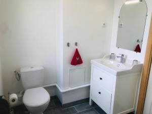 La salle de bains est pourvue de toilettes, d'un lavabo et d'un miroir. dans l'établissement LE GITE DE LA GIRAFE CENTRE VILLE LOUVIERS, à Louviers