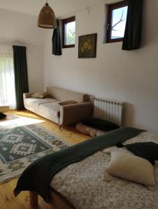 salon z kanapą i dywanem w obiekcie Cabana La Plai Vest - cozy private place in the mountain w mieście Plaiu Şarului