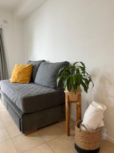 a living room with a couch and a potted plant at Departamento céntrico en Corrientes in Corrientes