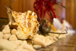 a table with a shell and a vase with flowers at Hotel Brisa in A Coruña