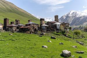 a group of buildings in a field with mountains in the background at GuestHouse NaSHGOBI in Ushguli