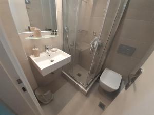 W łazience znajduje się prysznic, umywalka i toaleta. w obiekcie Hotel 3 Adelfia w miejscowości Agia Marina