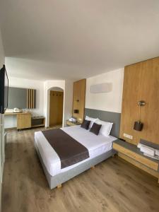 una camera con un grande letto e una televisione di Family Hotel Flora a Zlatograd