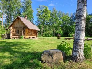 a log cabin in a field with a tree and a rock at Nedsaja metsamaja ja saun in Nedsaja