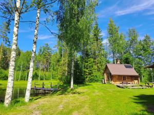 a log cabin in the woods with a pond and trees at Nedsaja metsamaja ja saun in Nedsaja