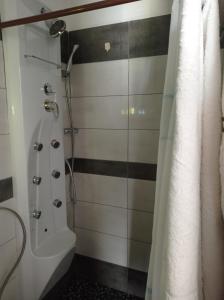 La salle de bains est pourvue d'une douche avec rideau de douche. dans l'établissement Hotel Apartment Agios Konstantinos, à Ágios Konstantínos