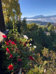 een tuin met rode en witte bloemen en bomen bij SapplAlm in Millstatt