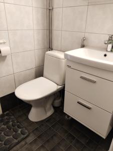 a bathroom with a toilet and a sink at Yyterin portti in Pori