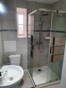 een badkamer met een douche, een toilet en een wastafel bij Chambre Japonaise baieta in Moulinet