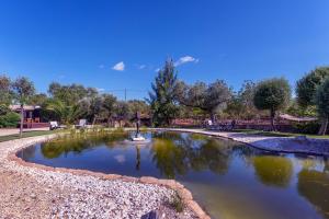 a pond in a park on a sunny day at Villa - Algarve, Portugal, 4 Bed ensuite, private pool, lake and beautiful gardens in Almancil