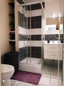 a bathroom with a shower and a toilet at CHARMANT & PRATIQUE, 2 Pièces/4 Pers à 15 min de Paris et Versailles in Ville-dʼAvray