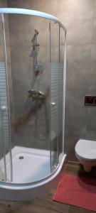 Koupelna v ubytování Apartmán Harmonie Černá Voda