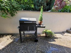 una barbacoa junto a una pared con un cactus en Ferienwohnung Riesling, en Bobenheim am Berg