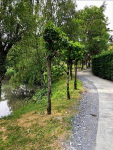 a path with trees on the side of a river at Bryn Mynach in Barmouth