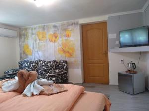 een kamer met een bed, een bank en een televisie bij Gréti Apartman in Sárospatak