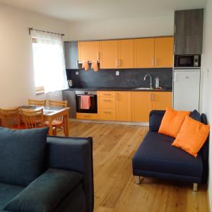 Kuchyň nebo kuchyňský kout v ubytování Apartmán u Skiareálu Filipovice