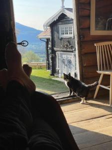 un gato parado fuera de una puerta con una persona en Stabburet på Gaarder / wifi og sauna, 