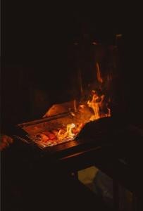 Şurdeşti的住宿－Aframehouse，烤架上放着一堆火