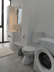 特爾古穆列什的住宿－Grey Diamond，一间带卫生间和洗衣机的浴室