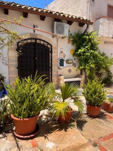 a group of potted plants in front of a house at Casa Claudia in Marsala