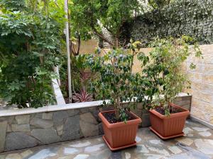 tres plantas en macetas sentadas junto a una pared de piedra en Garden View Apartment, en Atenas