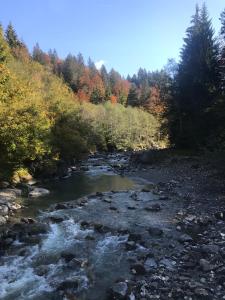 Príroda v okolí apartmánu