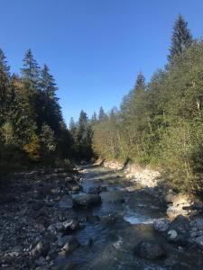 Príroda v okolí apartmánu