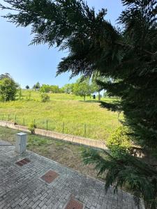 A garden outside Vittoria Apartment