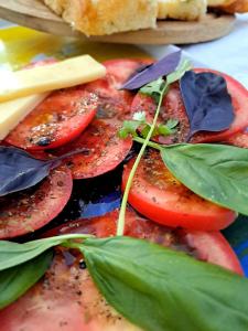 a plate of food with tomatoes and leaves on it at Budget Cozy in Pula